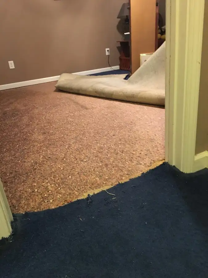Carpet pad removal revealing water damage during Drying & Dehumidification in Pigeon Forge
