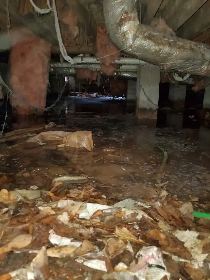 Crawl space flood assessment for Commercial Water Damage Restoration in Pigeon Forge