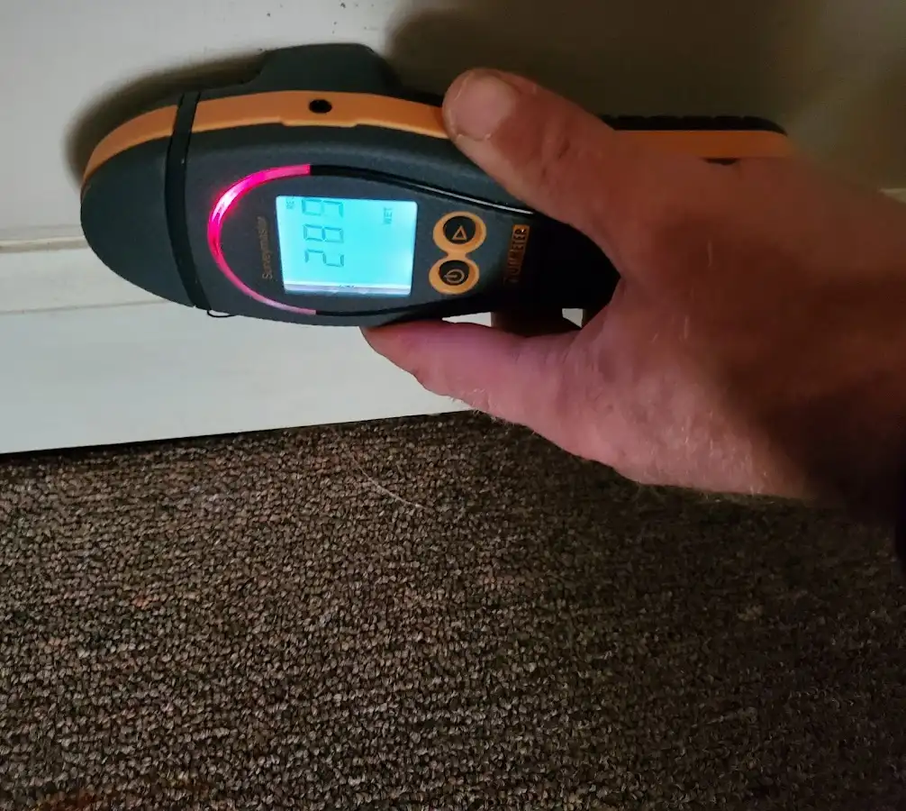 Moisture detection at baseboard during Sewage Cleanup & Sanitation in Pigeon Forge